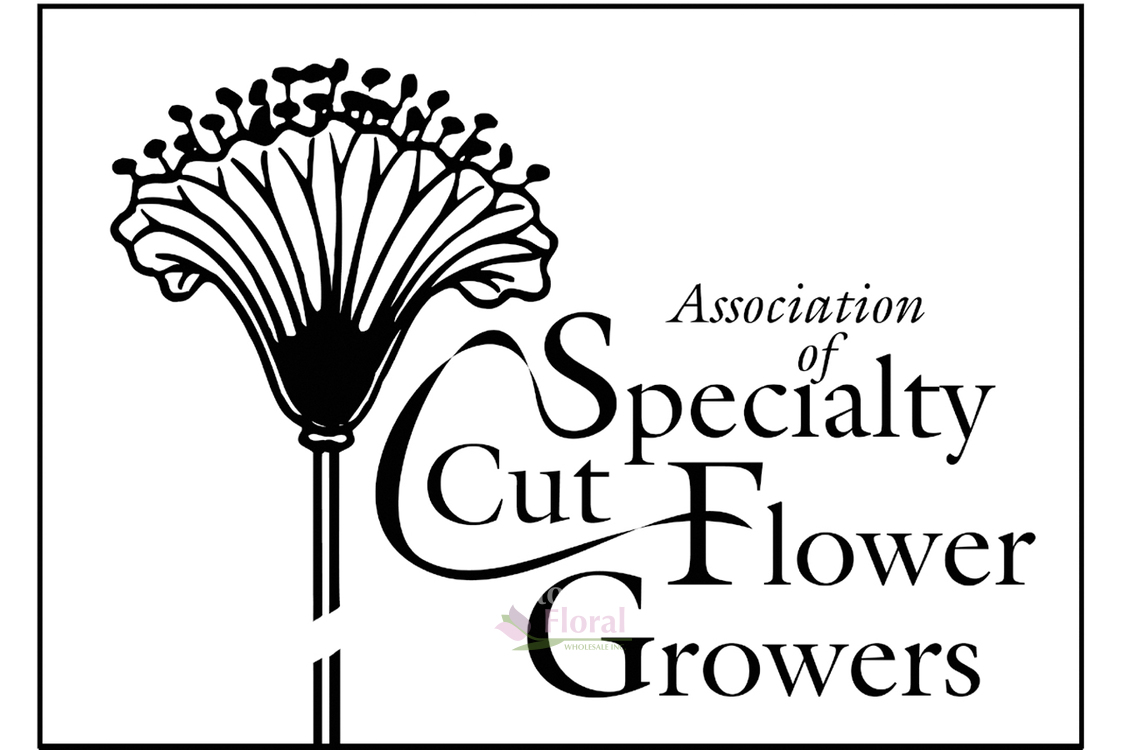 Potomac Floral Wholesale, Now a Member of the Association for Specialty Cut Flower Growers