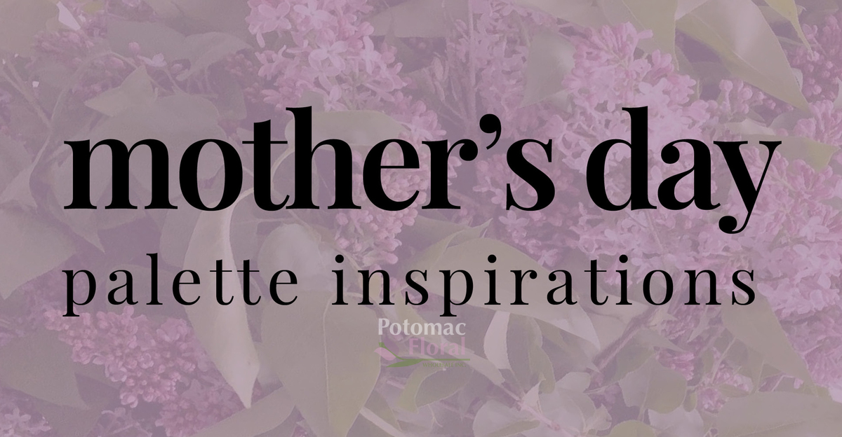 Mother's Day Palette Inspirations