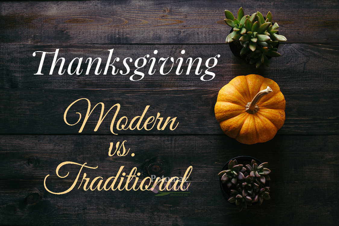 Thanksgiving: Modern vs. Traditional