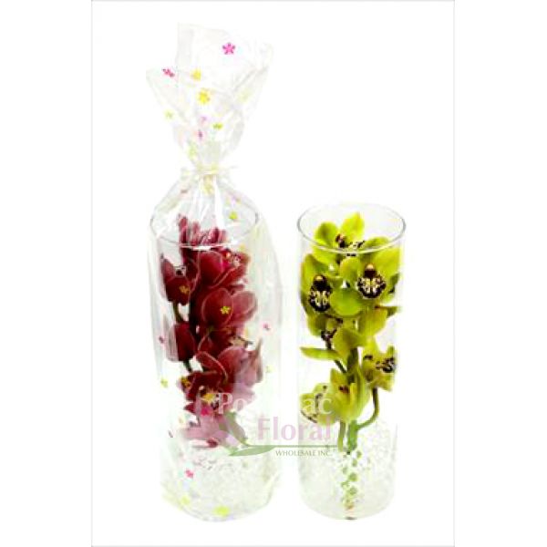 Cymbidium Orchid In A Tall 12 Quot Glass Cylinder Vase 12 Per