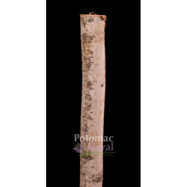 Birch Pole 1-2" Diameter, 8' Tall - Potomac Floral Wholesale