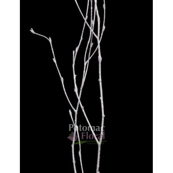 Birch Branches - Goldleaf Gold Painted - 3 Stems - Potomac Floral Wholesale