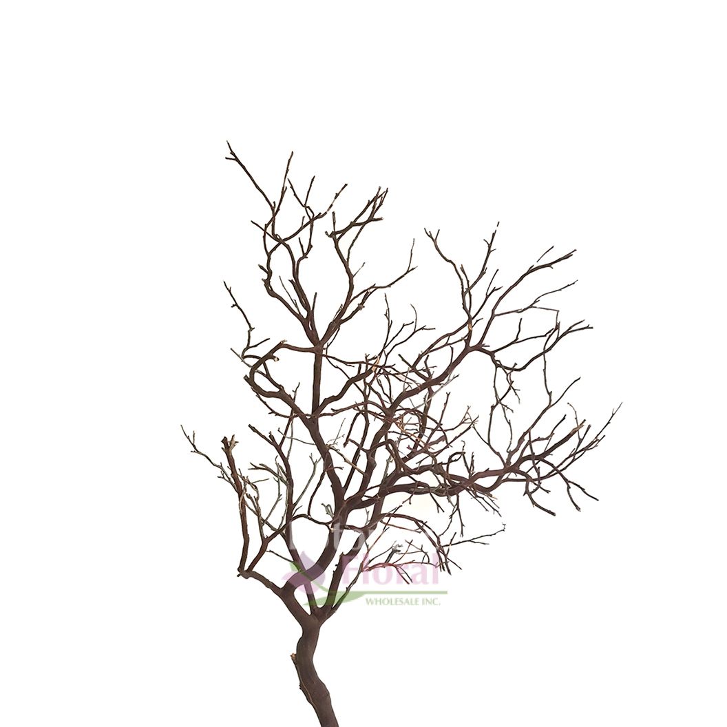 Manzanita Branch Natural, 1926"Tall Potomac Floral Wholesale
