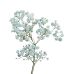 Baby Blue Tinted Gypsophillia Baby's Breath Premium, 70cm - Potomac ...