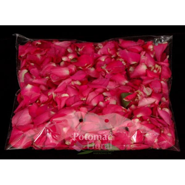 Rose Petals Hot Pink 200 Gram Bag Potomac Fl Whole