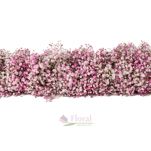 Floral Garland - 1 Foot Baby's Breath Gypsophilia - 5"