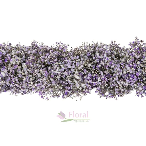 Floral Garland - 1 Foot Baby's Breath Gypsophilia - 5"