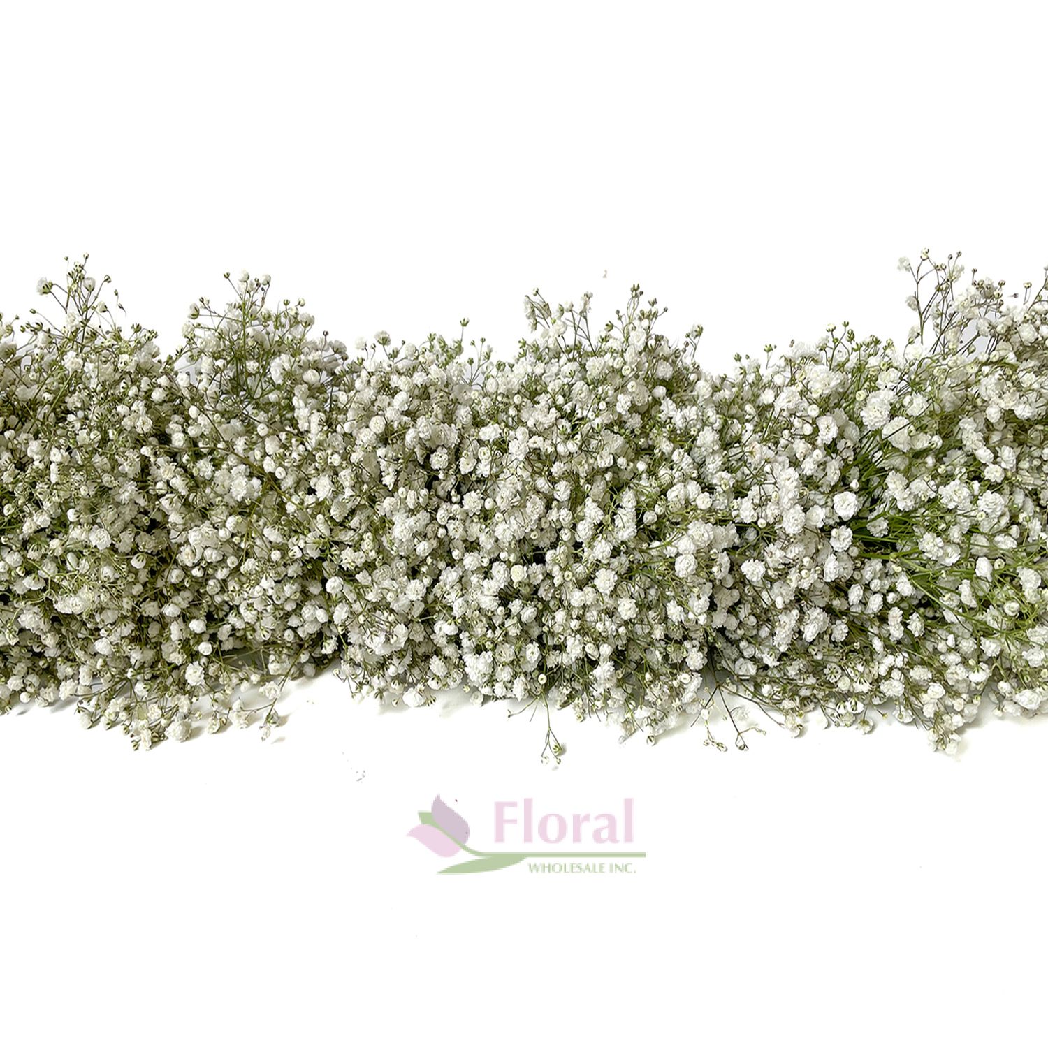 Wedding Garland - 1 Foot, Baby's Breath Gypsophilia, 8