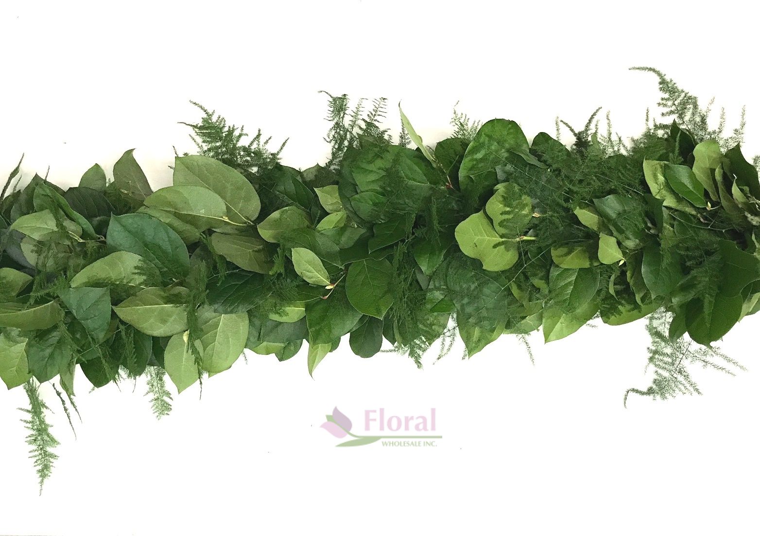 Fresh Greenery Garland 2 Items Salal & Plumosa Potomac Floral Wholesale