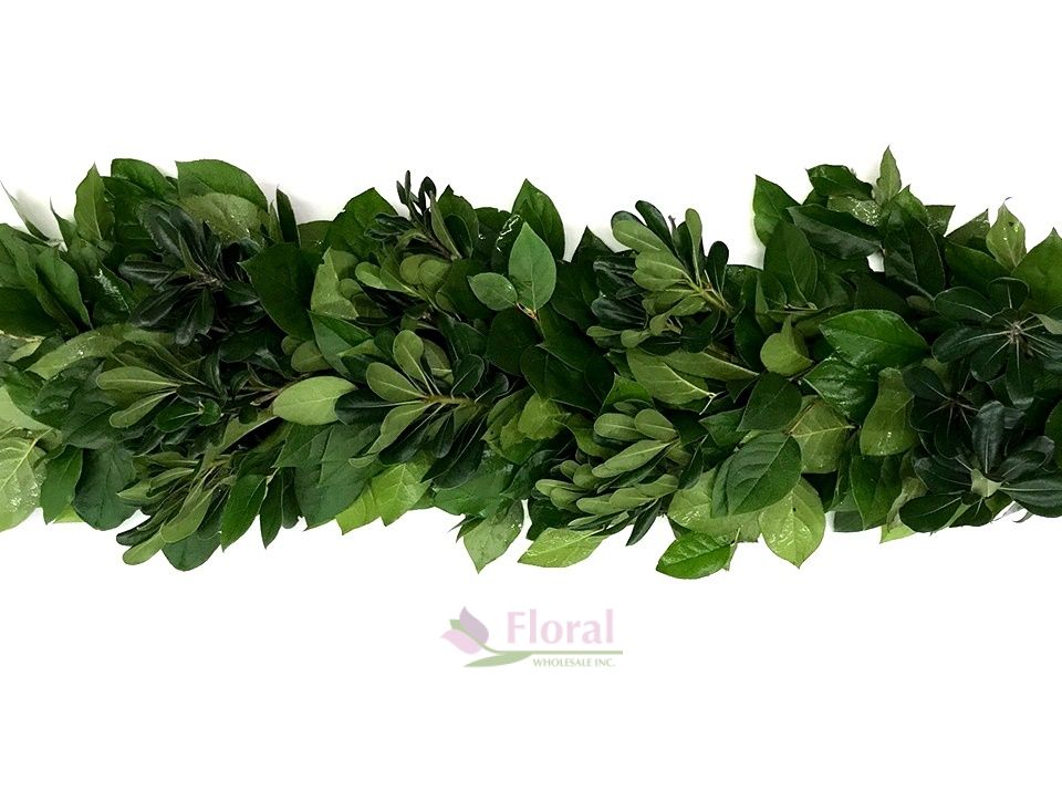 Fresh Greenery Garland 2 Items Salal & Green Pitt Potomac Floral