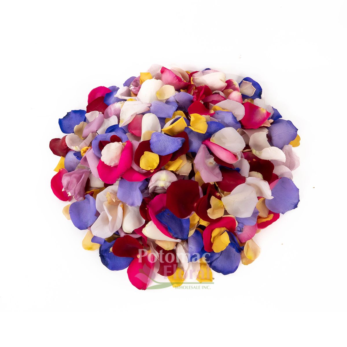 Rose Petals Assorted Colors 200 Gram Bag Potomac Floral Wholesale
