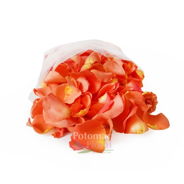 Rose Petals, Real Freeze Dried Pink and Orange Petals for Pathways, 70 cups