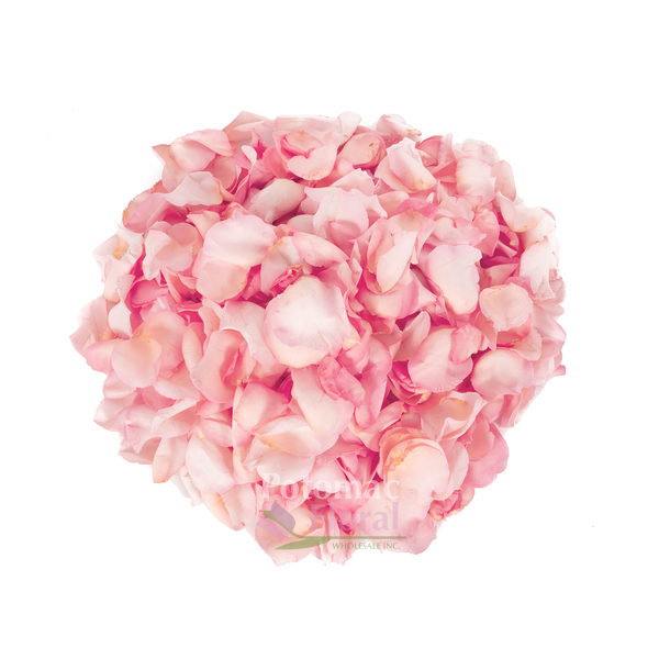 5,000 Rose Petals Pink, Flower Blush Petals