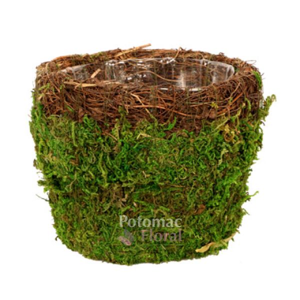 DIY Moss Potted Plant Decorative Cover for Basket, …love Maegan
