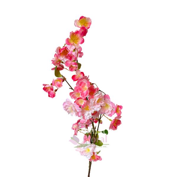 506,645 Pink Flower Branch Stock Photos - Free & Royalty-Free