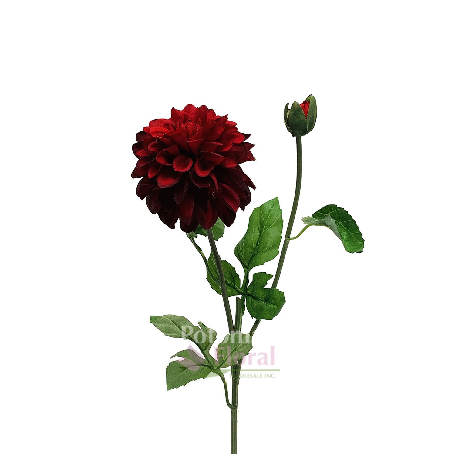 Silk Garden Dahlia with Bud Burgundy Potomac Floral Wholesale