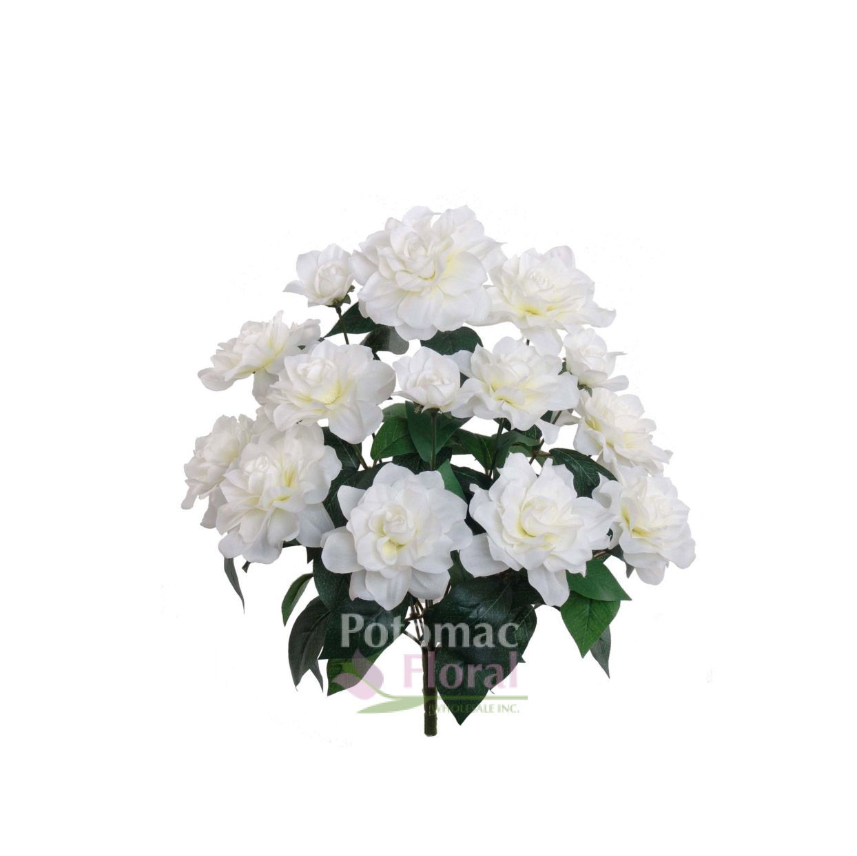 Silk Gardenia Buish x 14 Potomac Floral Wholesale