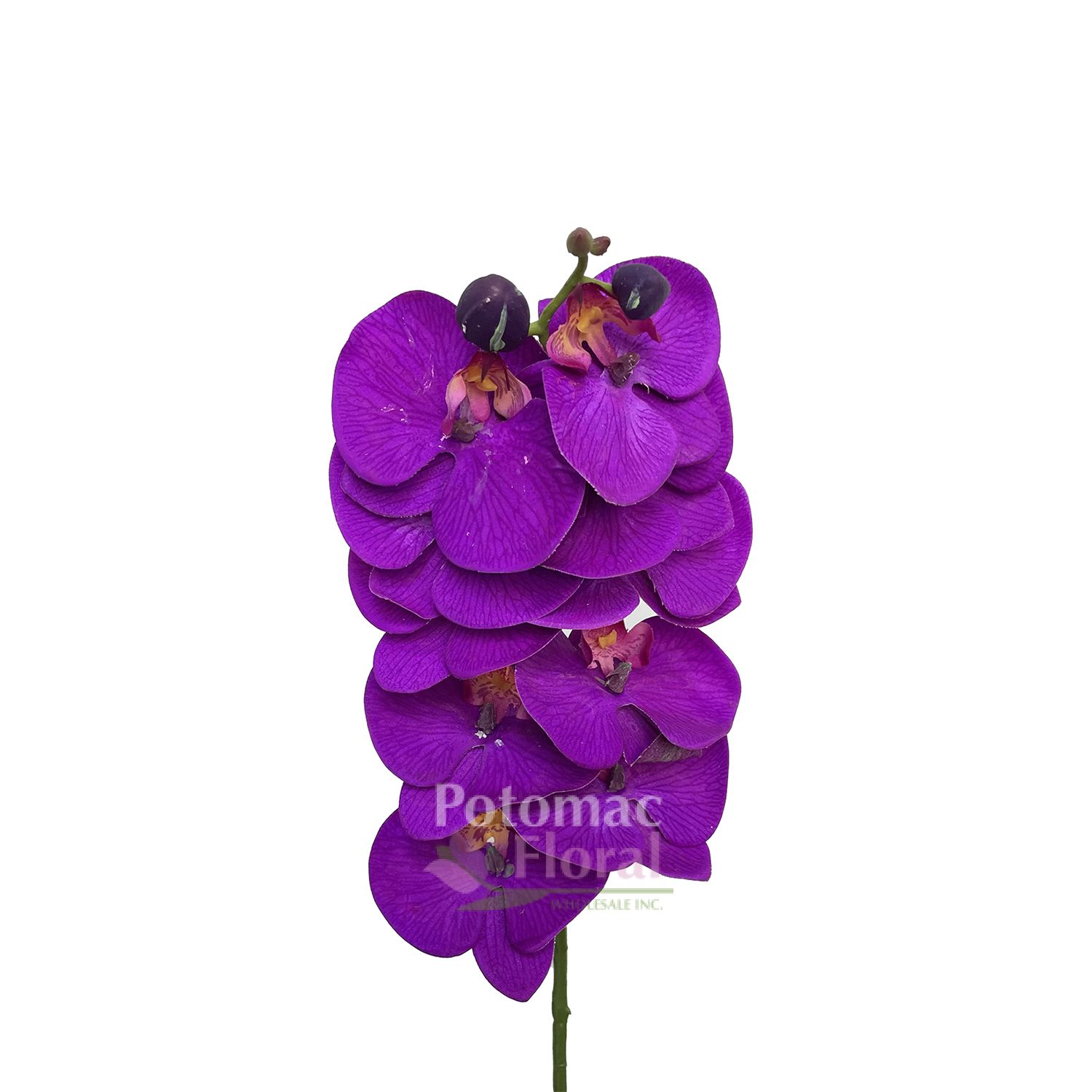 Silk Phalaenopsis Orchid Stem Purple Potomac Floral Wholesale