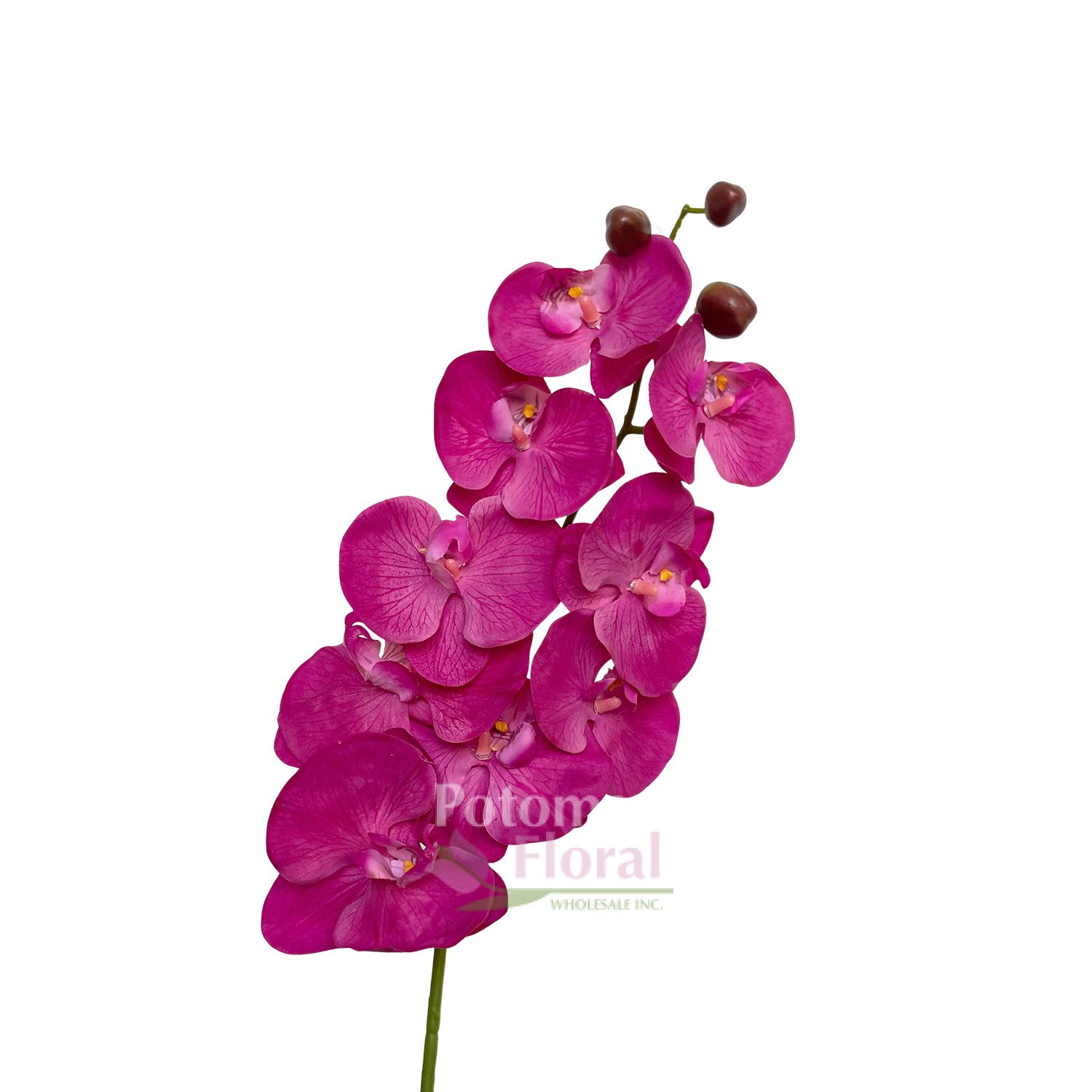 Silk Phalenopsis Orchid 33" Stem Fuchsia Potomac Floral Wholesale