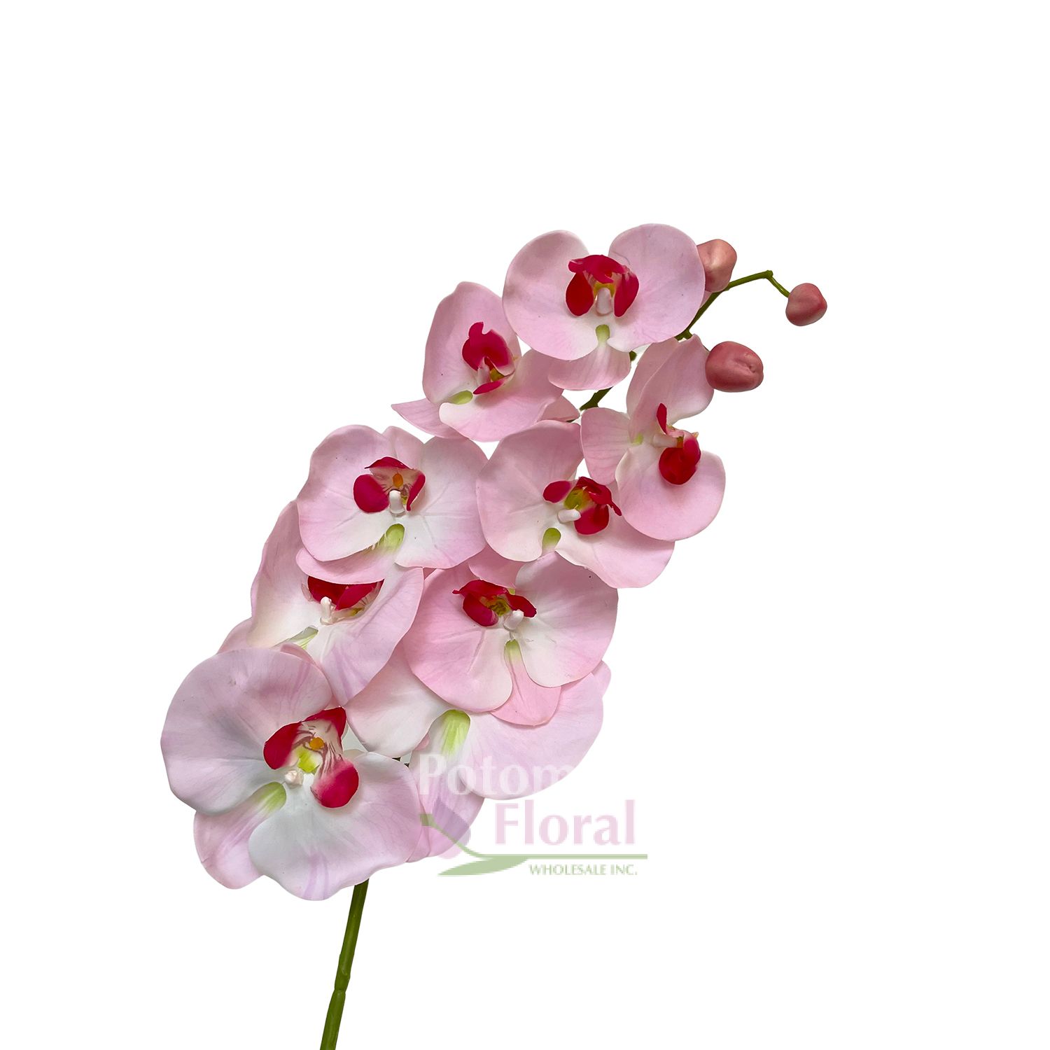 Silk Phalenopsis Orchid 33" Stem Pink Potomac Floral Wholesale