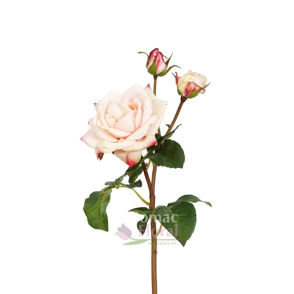 Silk English Rose Sweet Juliet Light Pink Potomac Floral Wholesale