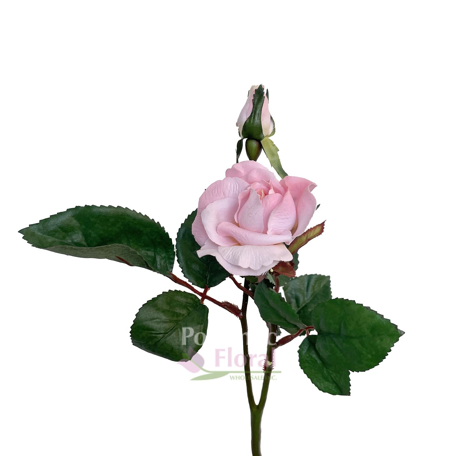 Silk Tea Rose Light Pink Potomac Floral Wholesale