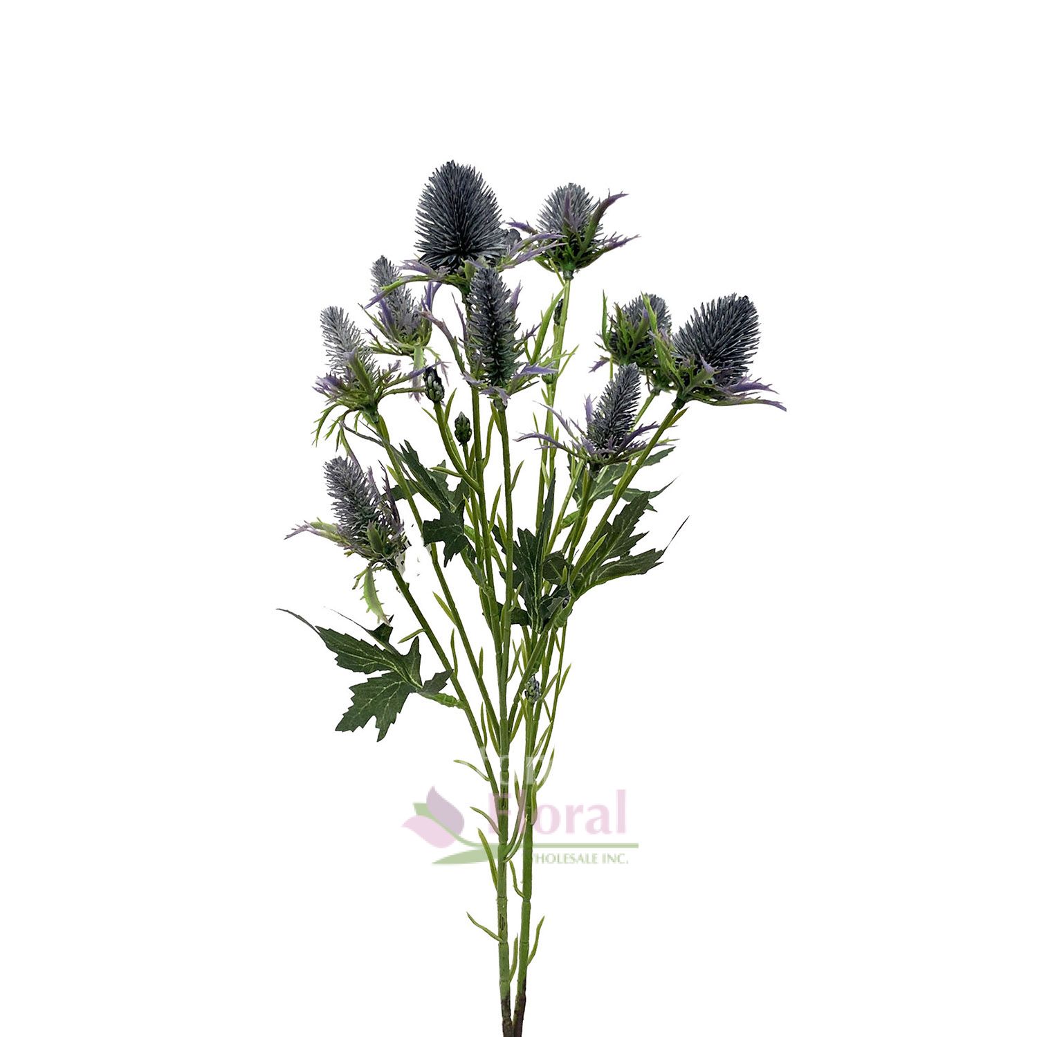 Silk Thistle Blue Potomac Floral Wholesale