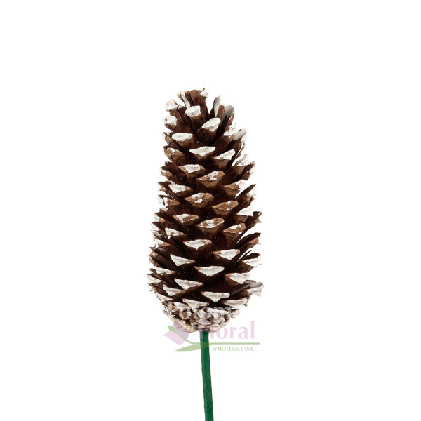Pinecones, 3-4, White Tipped on Picks, 100 Cones