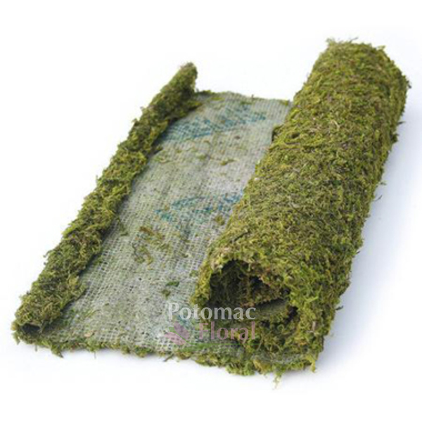 Preserved Sheet Moss, Green, 3-Ounce