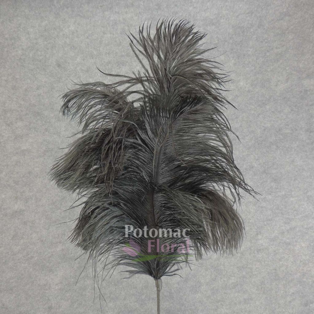 Ostrich Feather Spray 30" Black Potomac Floral Wholesale