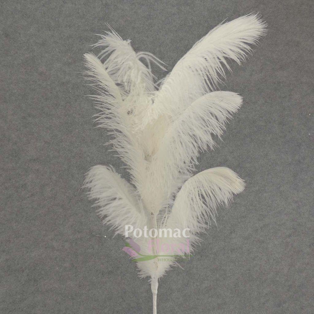 Ostrich Feather Spray 30" White Potomac Floral Wholesale
