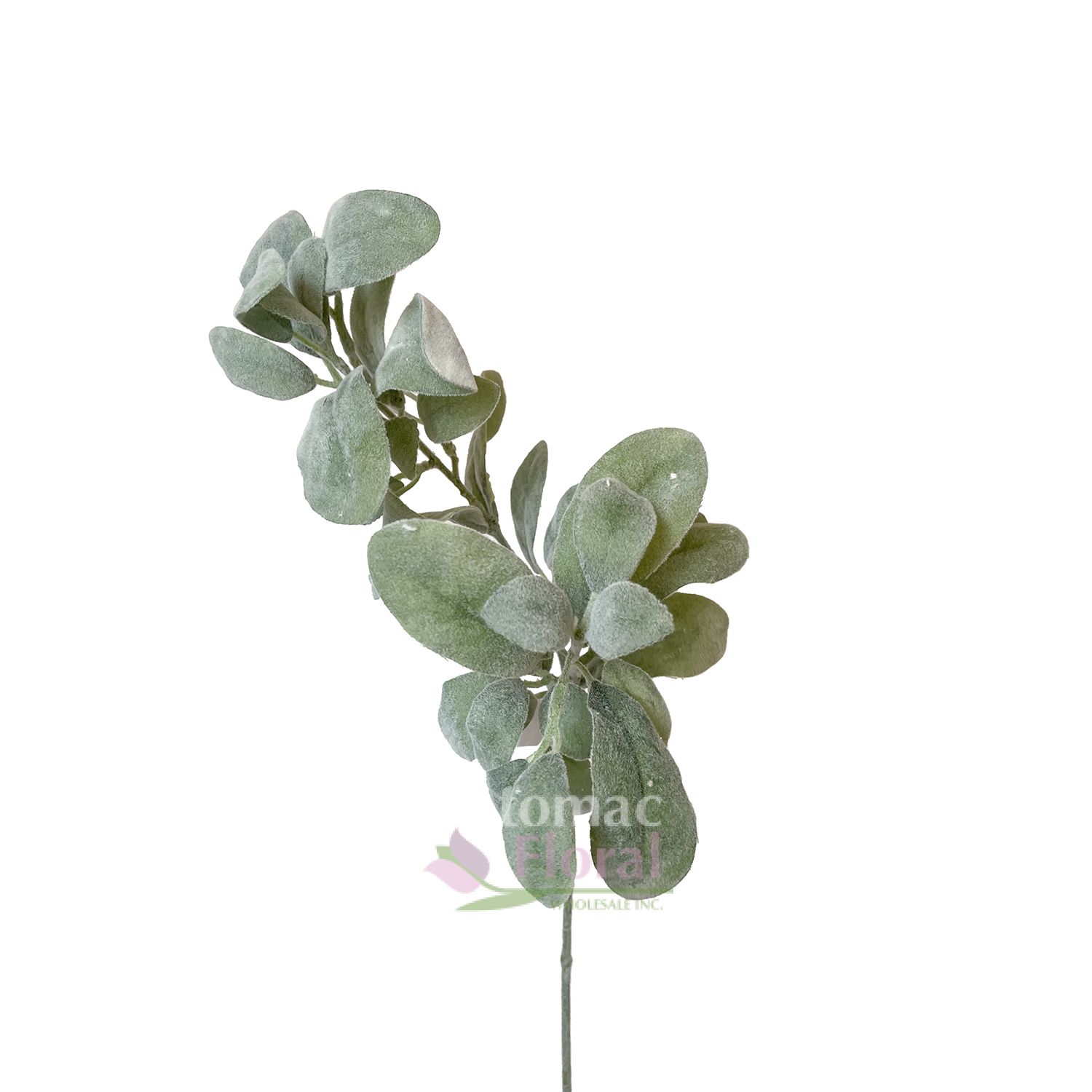 Silk Lambs Ear Branch 26 Potomac Floral Wholesale