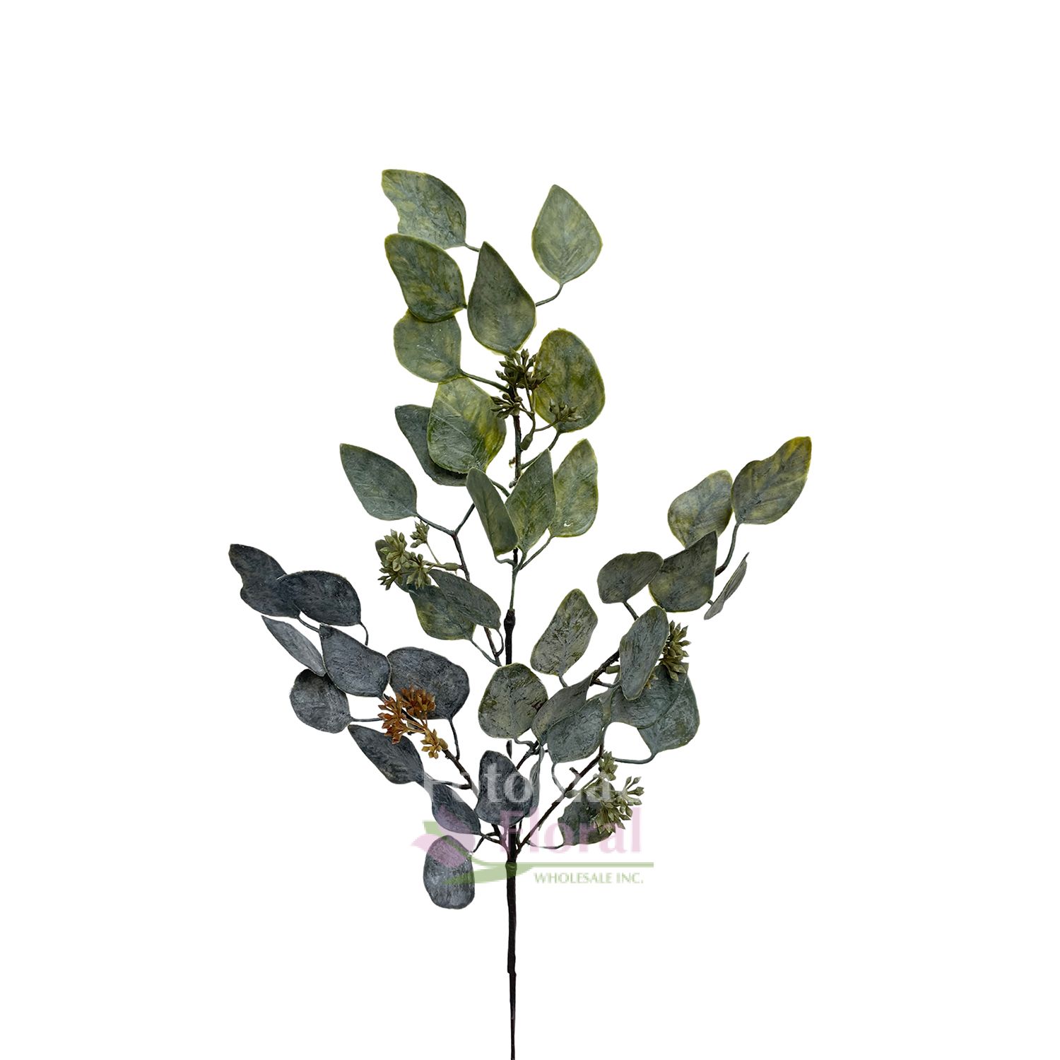 Silk Eucalyptus Seeded 20