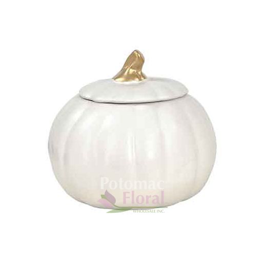 White Matte 6 Ceramic Pumpkin With Lid Potomac Floral Wholesale   ZCER PUM1806 Wm 