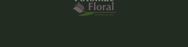 Spring Green Design Master Paint - Potomac Floral Wholesale
