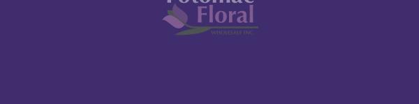 Rose Gold Metallic Design Master Paint - Potomac Floral Wholesale