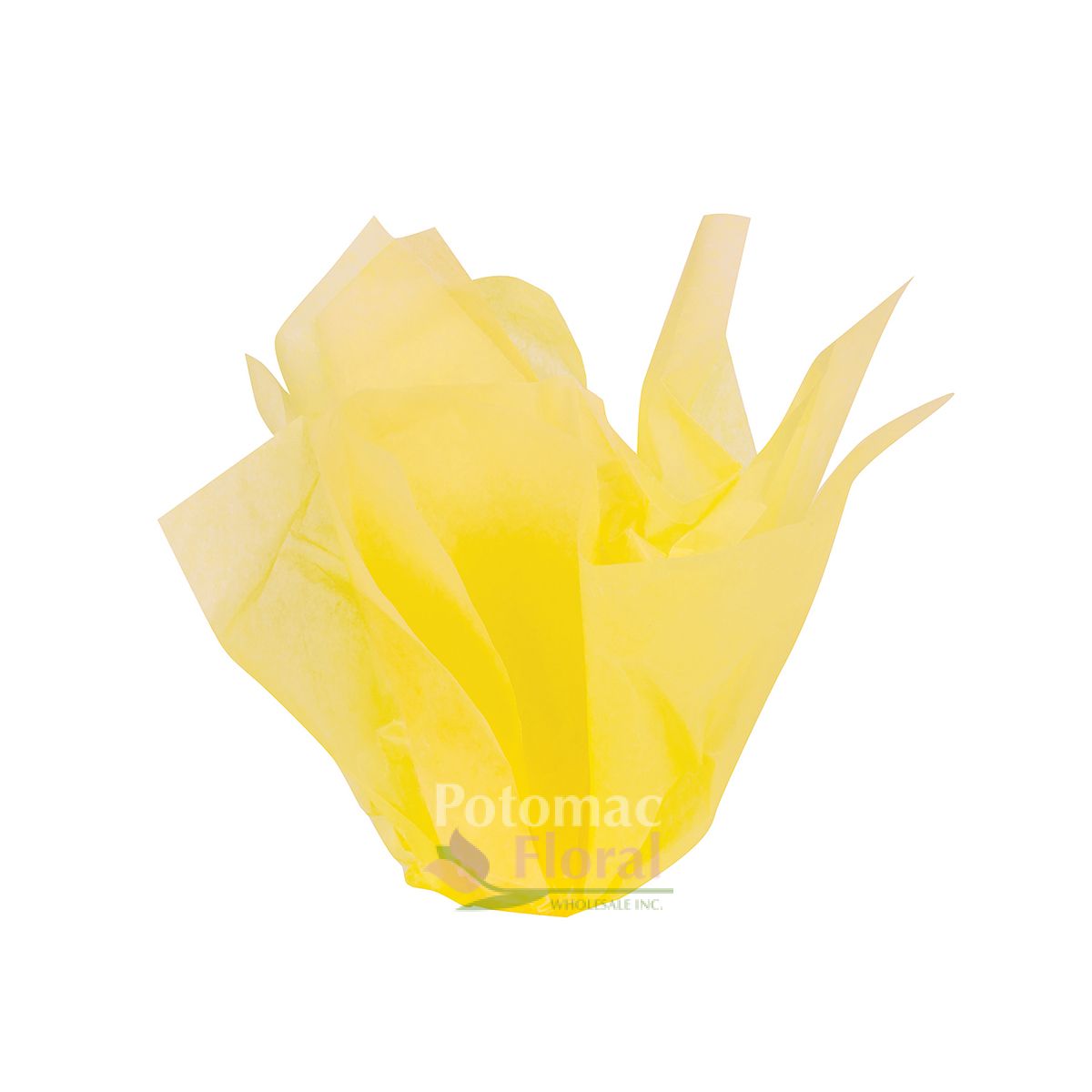 Waxed Tissue 24" x 36" Buttercup 400 Sheets Potomac Floral Wholesale
