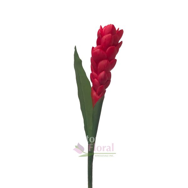 Silk Torch Ginger 40 Quot Red Potomac Floral Wholesale