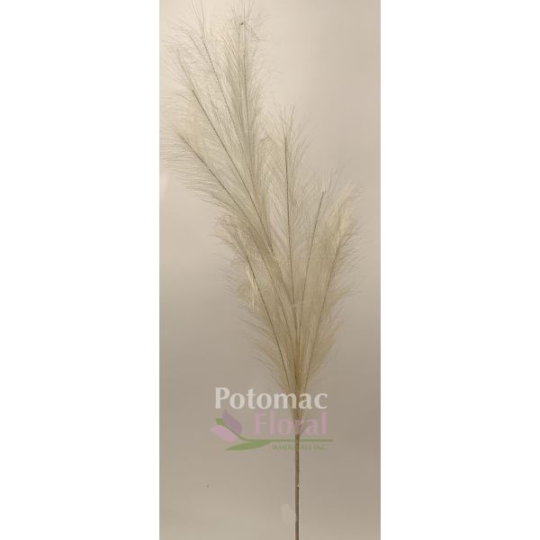 Silk Pink Pampas x 11 Plume - Potomac Floral Wholesale